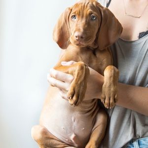 Meet your Posher, Brie'ann